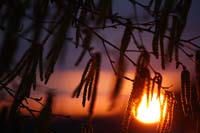 Goodnight-Sun-David_Bailey